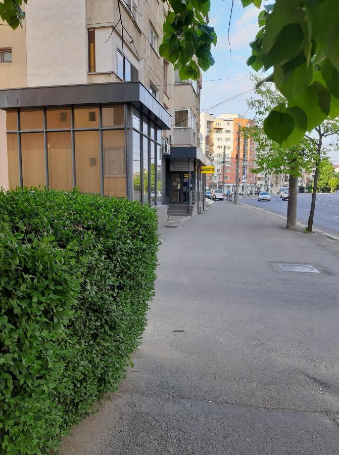 Creative Apartment Baia Mare Exterior photo
